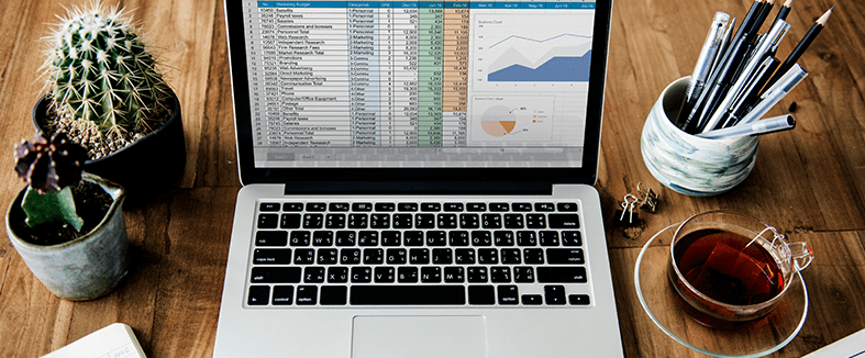 accounting spreadsheet on laptop